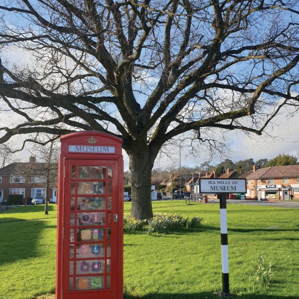 Tree of the Year